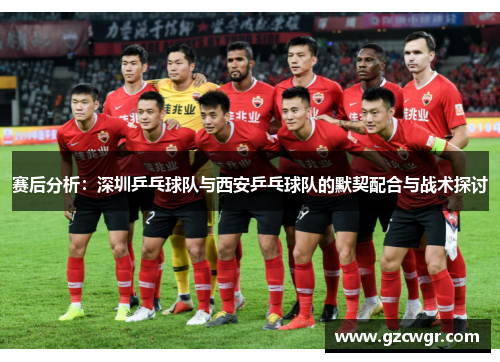 赛后分析：深圳乒乓球队与西安乒乓球队的默契配合与战术探讨